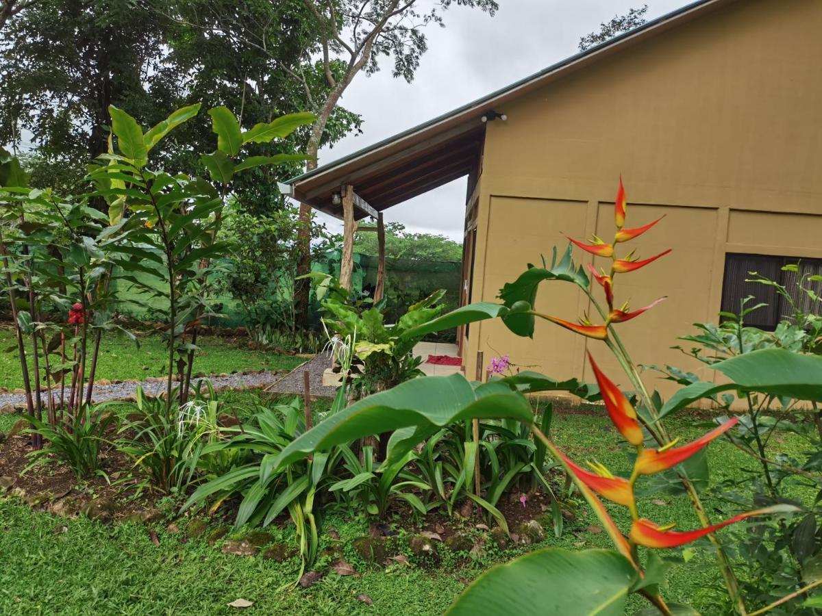 Greenhouse Loft Miravalles Aguas Claras  Buitenkant foto