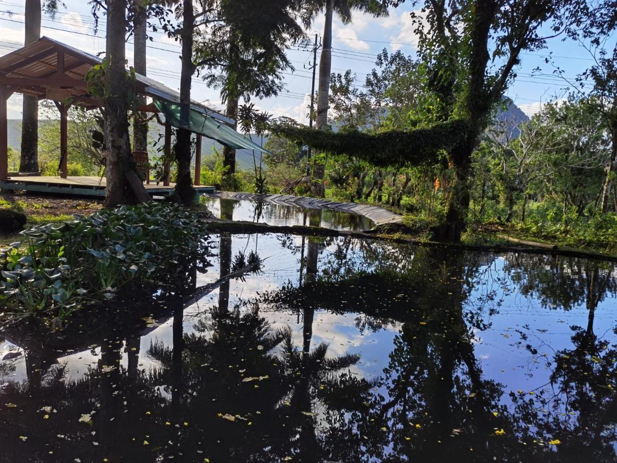 Greenhouse Loft Miravalles Aguas Claras  Buitenkant foto