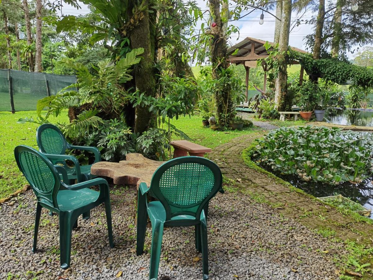 Greenhouse Loft Miravalles Aguas Claras  Buitenkant foto