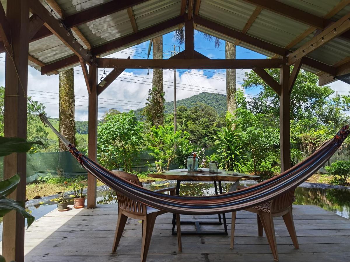 Greenhouse Loft Miravalles Aguas Claras  Buitenkant foto