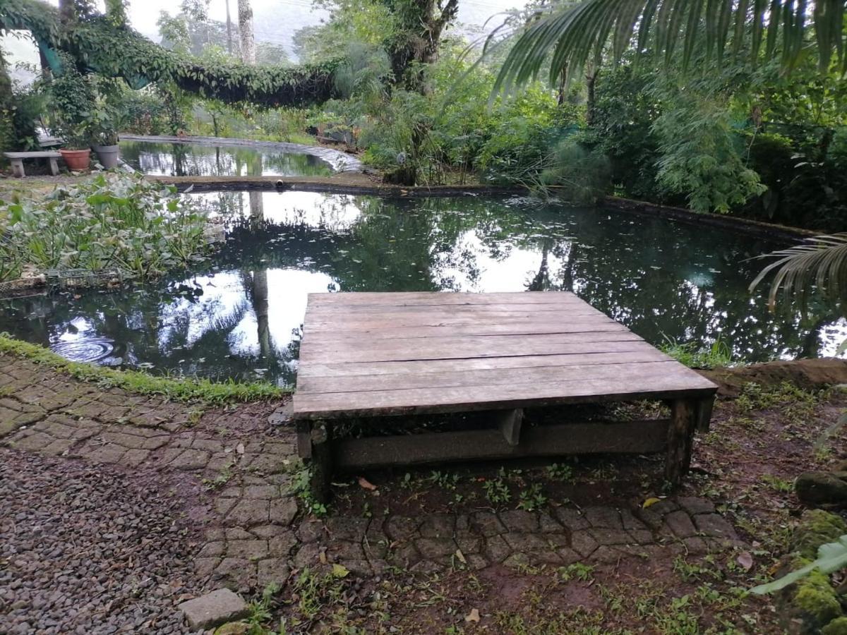 Greenhouse Loft Miravalles Aguas Claras  Buitenkant foto