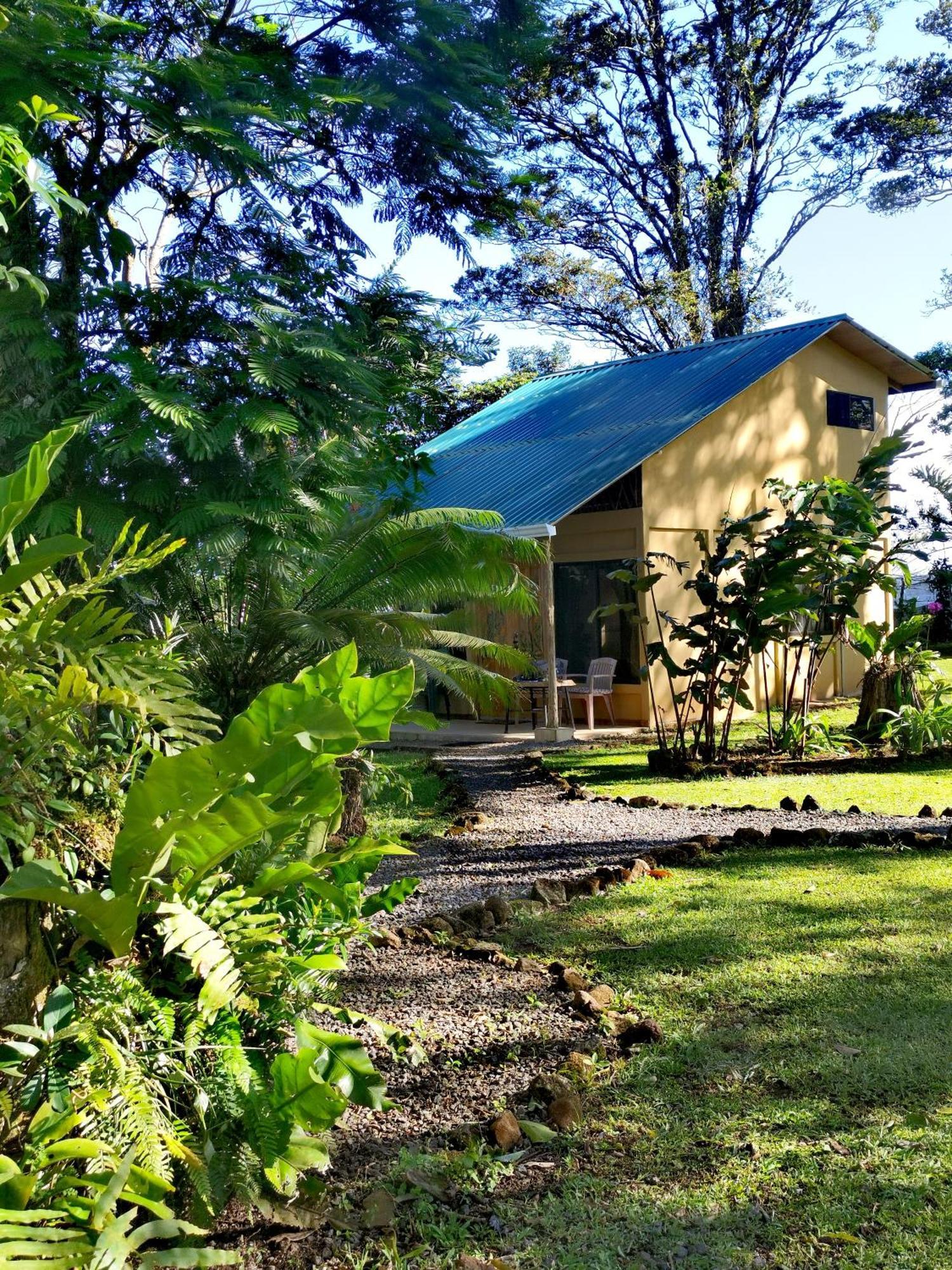 Greenhouse Loft Miravalles Aguas Claras  Buitenkant foto