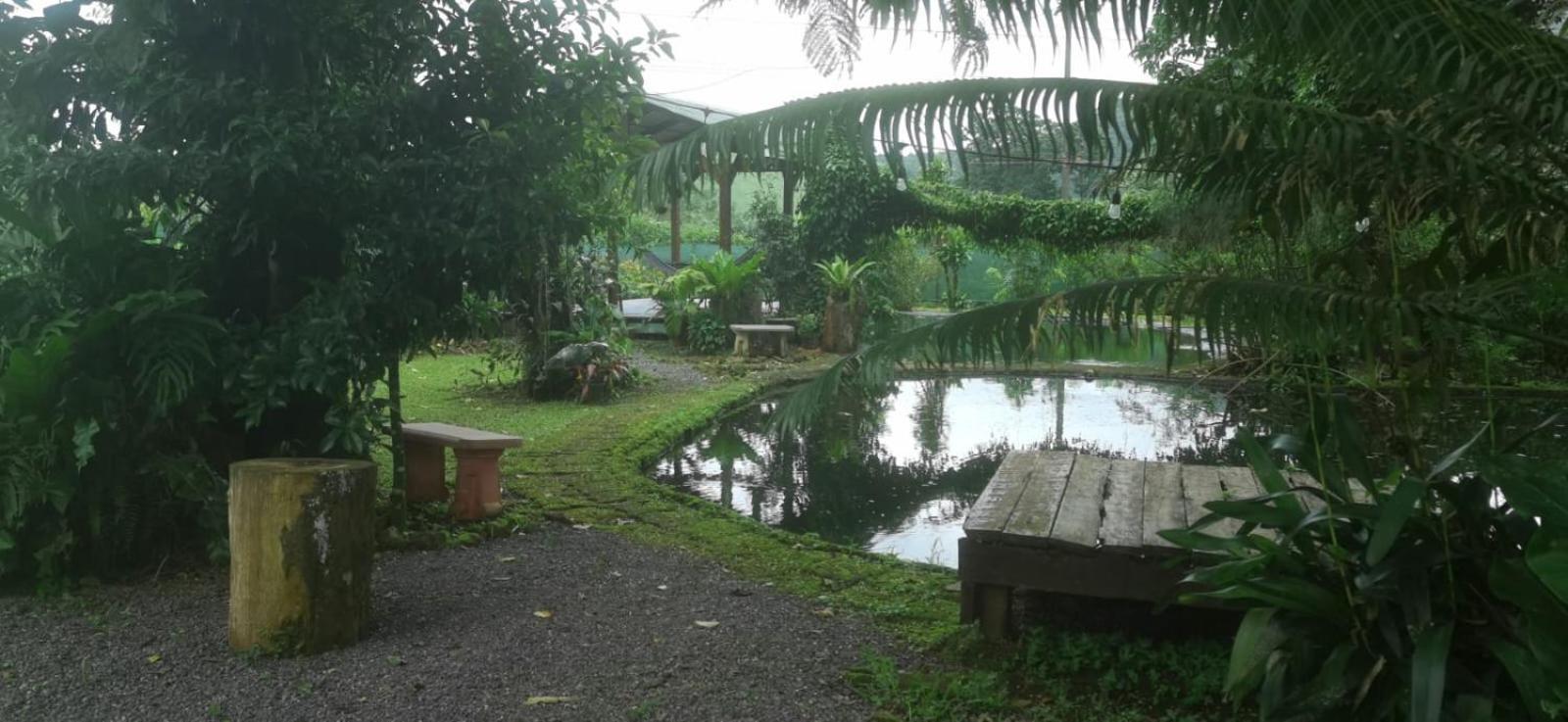 Greenhouse Loft Miravalles Aguas Claras  Buitenkant foto