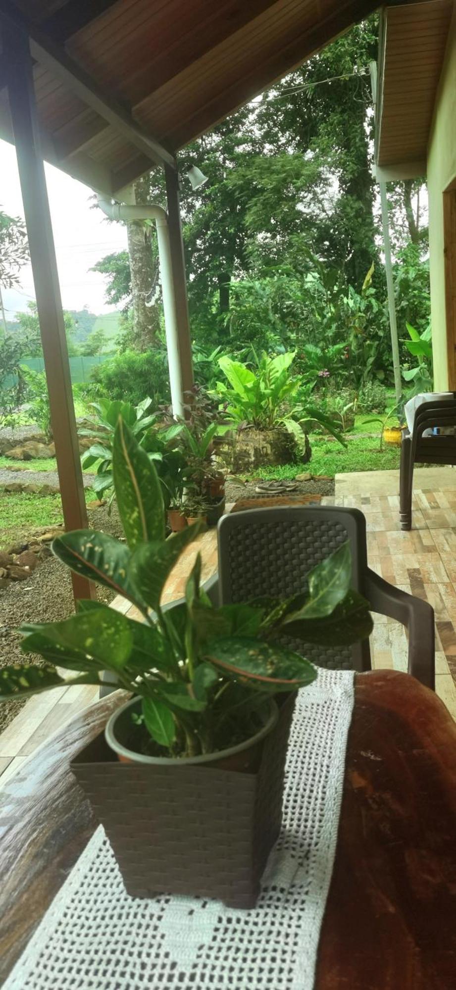 Greenhouse Loft Miravalles Aguas Claras  Buitenkant foto